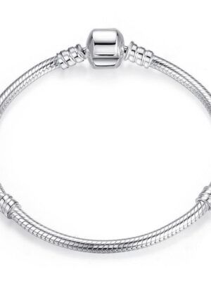 Bracelet charms en argent maille serpent